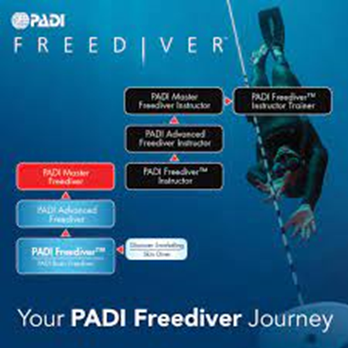 Freediver Basic Pool + eCODE